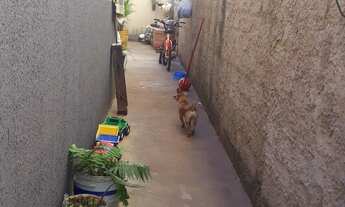 Imagem 2: Participar Casa com 3 dormitórios