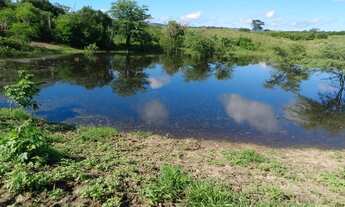 Imagem: Terreno/lote, na zona rural de Gravatá