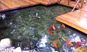 Imagem 4: Venda - Apartamento de 149m2 com 04 dormitórios, 02 suítes no bairro Campo Grande