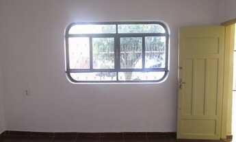 Imagem 5: Paulista - Piracicaba - SP