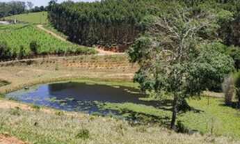 Imagem 1: Terreno plano a venda de 1000m²