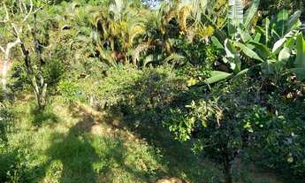 Imagem 2: Chácara à Venda, bom Jesus , Domingos Martins, ES