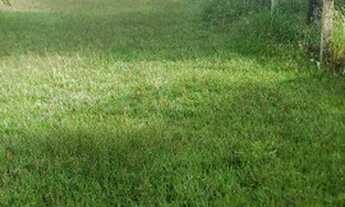 Imagem: Venda rancho picoro serra azul Sp