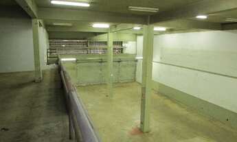 Imagem 6: GOIÂNIA - Galpão/Depósito/Armazém - RODOVIÁRIO