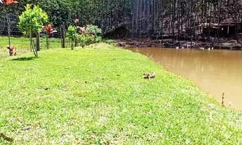 Imagem 7: Sitio em São Pedro de Alcântara