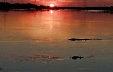 Imagem 2: Vendo 2 linhas de terra