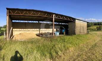 Imagem 7: Sitio 9.84 Alq. Com Estrutura de Produção Integrada