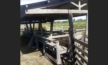 Imagem: Vende-se terra de 10 alqueires