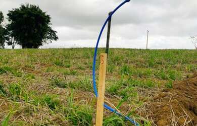 Imagem 3: Q03-Venha pro ar puro e muito verde