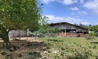 Imagem: Mini Sitio com Galpão em Taquara na Localidade