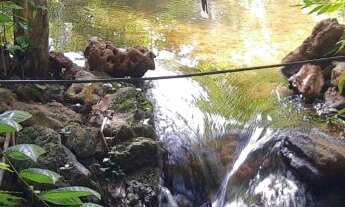 Imagem 3: Ee 038 - Sítio em Timon-Ma - Localicalidade Brejinho - egledson