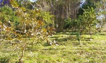 Imagem 7: Sítio / Chácara para Venda em Gaspar, Bela Vista, 2 dormitórios, 2 banheiros, 3 vagas