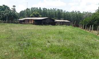 Imagem 5: 1.100 há a 40 minutos de Campo Grande MS