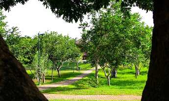 Imagem 3: Lote Comercial em Setor Jaó com 450m²