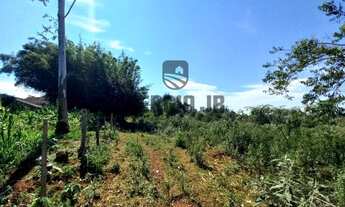 Imagem 6: Área de terra com 4h em Triunfo - Aceito veículo ou parcelamento