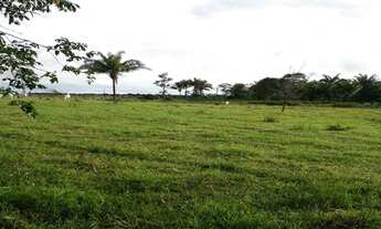 Imagem 5: Itacoatiara - Fazenda - Araújo Costa