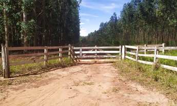 Imagem: 1.100 há a 40 minutos de Campo Grande MS