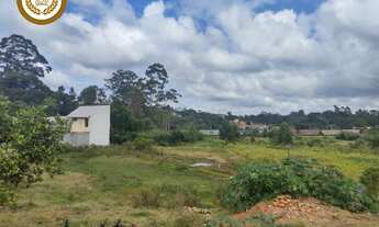 Imagem 4: SAO ROQUE - Terreno residencial - CENTRO (CANGUERA