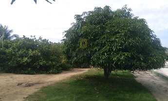 Imagem 2: Chácara à venda em Teotônio Vilela aceita permuta!!!