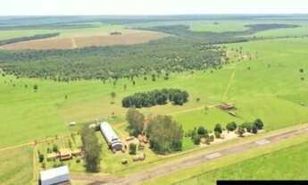 Imagem 3: Fazenda à venda, 10830 hectares por R$ 200.000.000 - Zona Rural - Canarana/MT