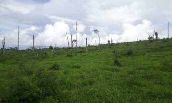 Imagem: Fazenda 480 alqueires 180 de capim! 50 km