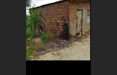 Imagem 2: Casa com terreno grande pra vende logo 10 mil