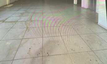 Imagem 2: Prédio/Edifício inteiro para aluguel e venda tem 800 metros quadrados em Madalena - Recife