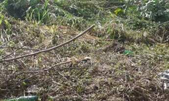 Imagem 2: Parque 10 shangrilar VII