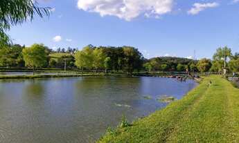 Imagem 3: Vendo Área de Terras em Parobé pra vc Investidor e Empreendedor na Piscicultura