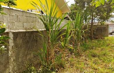 Imagem 5: ÓTIMO TERRENO, 230M², GOLFINHOS - CARAGUATATUBA/SP