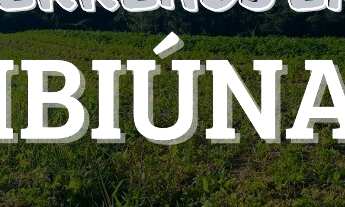 Imagem 7: Terreno em Ibiúna com Fácil Acesso a Capital de SP