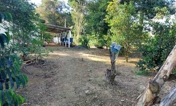 Imagem 3: Vendo Chácara Bebedouro Linhares