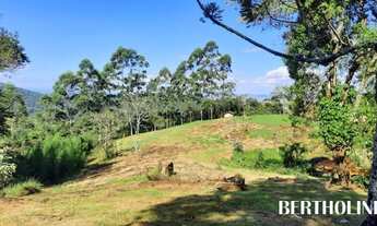 Imagem 4: PENEDO - Terreno Padrão - Fazendinha