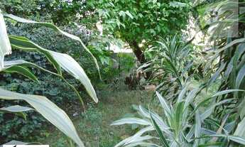 Imagem 7: Terreno à venda, 620 m² por R$ 1.100.000,00 - Limão - São Paulo/SP