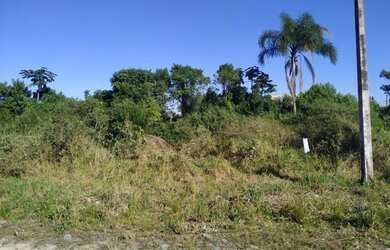 Imagem 2: Vendo 2 lotes na Praia do Ervino