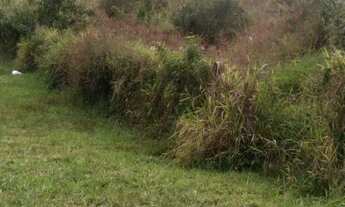 Imagem 5: Vendo terreno na frente do depósito do exército da geral da br em Morretes tijucas