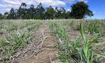 Imagem 6: Q03-Venha pro ar puro e muito verde