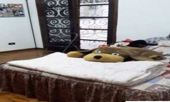 Imagem 5: 09764 - Casa 3 Dorms. (1 Suíte), MANDAQUI - SÃO PAULO/SP