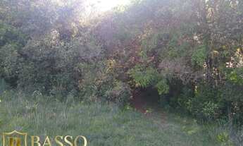 Imagem 5: Chácara para venda com 20000 metros quadrados em Criúva - Caxias do Sul - RS