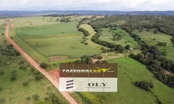 Imagem 3: Fazenda Extra - Para investimento | 33 Alqueires