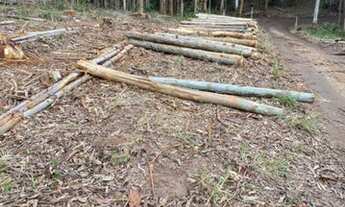 Imagem 3: Lote/Terreno para venda tem 999 ag1-metros quadrados em centro - Salesópolis - São Paulo