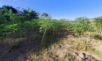 Imagem 4: Vendo Chácara Bebedouro Linhares