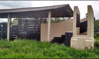 Imagem 7: Fazenda em Guareí