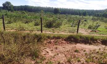 Imagem 3: 1.100 há a 40 minutos de Campo Grande MS