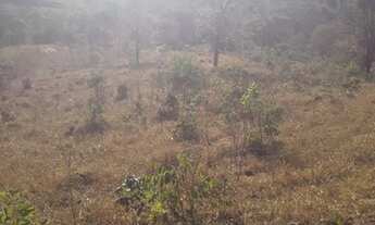 Imagem 2: Fazenda 250 alqueires