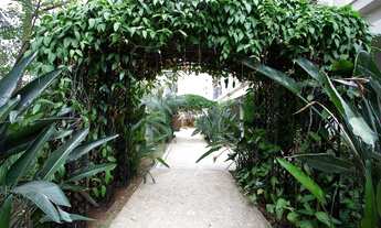 Imagem 6: Apartamento para locação, Jardim Vitória Régia, São Paulo, SP