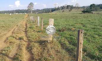 Imagem 4: Vale do Anari - Fazenda - 63 alqueires