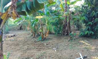 Imagem 6: Vendo Chácara Bebedouro Linhares