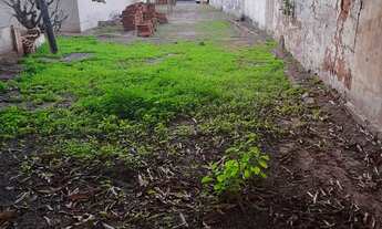 Imagem 5: Terreno e casa Casa com 3 dormitórios