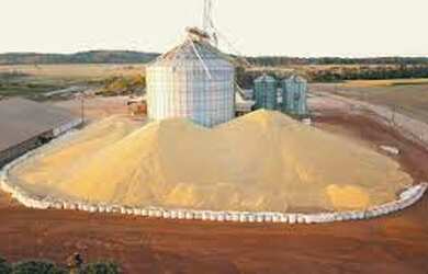 Imagem 3: ET - Investimento Rural - Compra Rural Gado Milho Soja Trigo Algodão